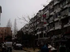 近地铁 无抵押,现场实勘 电梯房 新上房源