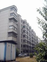 九洲池旁步梯中间楼层两室价可议