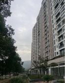 万鸿城市花园1室1厅西北