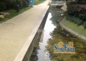 碧城旺丽庄园 3室2厅 南