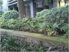 文韵江南 4室2厅 东南