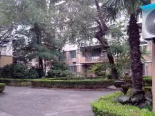 永福路近湖南路,梧桐树下小区,小区宽敞,社区优美