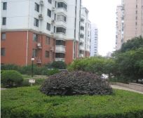 品质小区,环境优美,诚意出售,精装好房