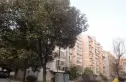 海棠花苑实景图