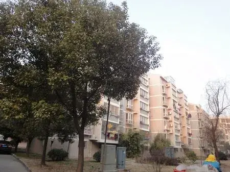 海棠花苑实景图