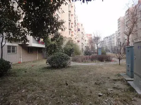 海棠花苑实景图