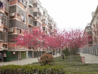 福都花苑实景图