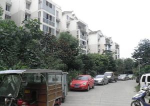 中坝小区2室2厅南