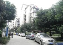 中坝小区1室1厅南
