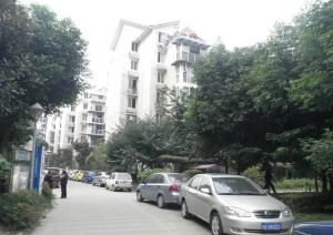 中坝小区1室1厅南
