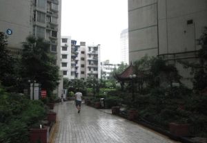 少城府邸6室2厅西南