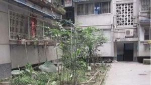 鼓楼北二街70号院2室1厅西南