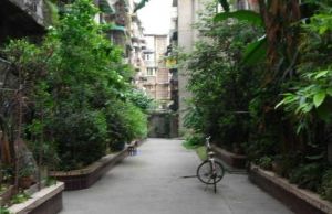 鼓楼北二街58号院 1室1厅 西南