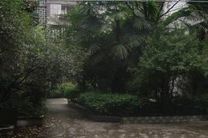鼓楼北二街58号院1室0厅西北
