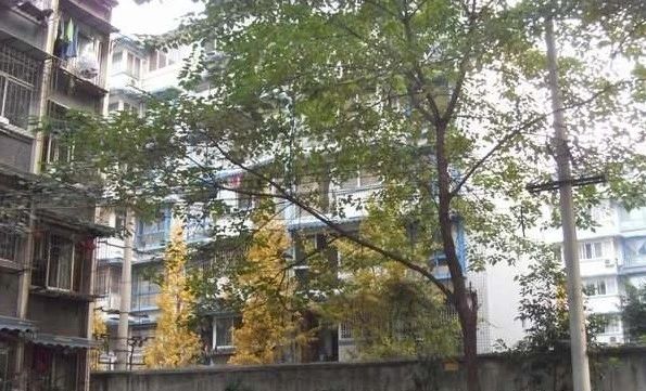 清邻街3号实景图