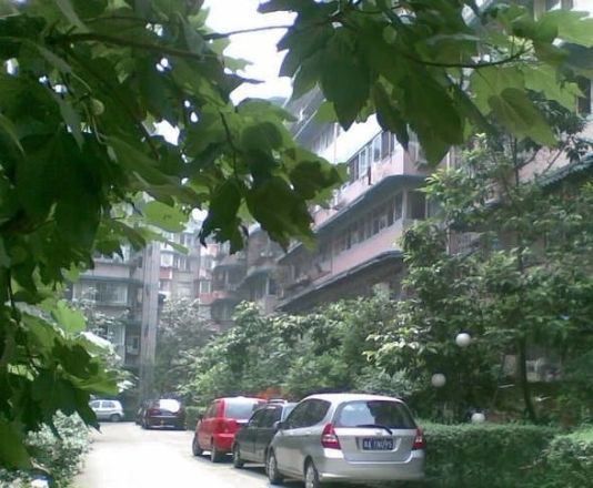 清邻街3号实景图