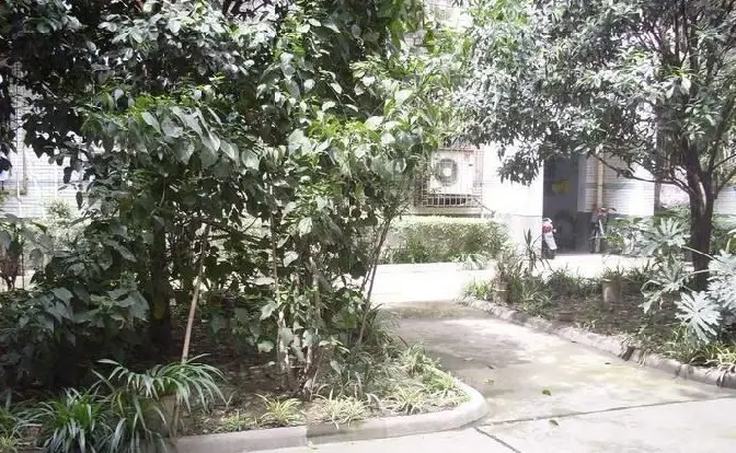 科联街社区实景图