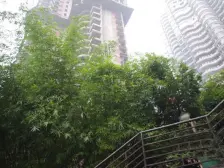 东路二小区 3室2厅 南