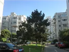 精装修带地暖,装修四年多,7号线大华三路,采光很好