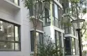 桃花原筑实景图