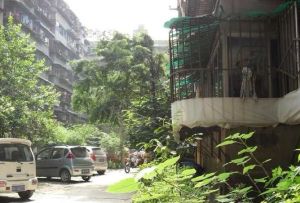 文苑路70号 2室1厅 北