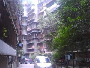 文苑路70号 3室1厅 东南