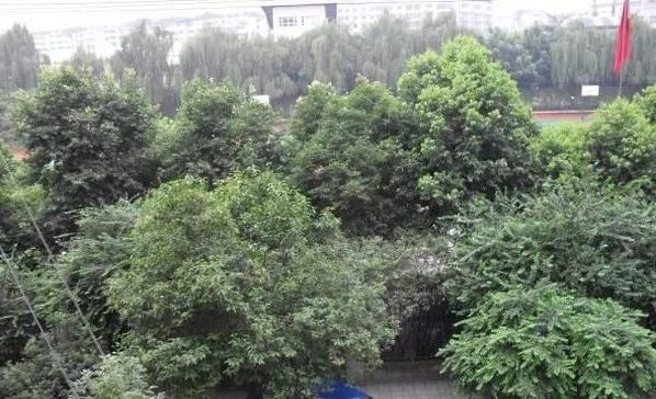 文苑路70号院实景图