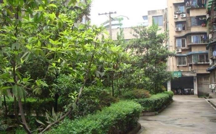 文苑路70号院实景图