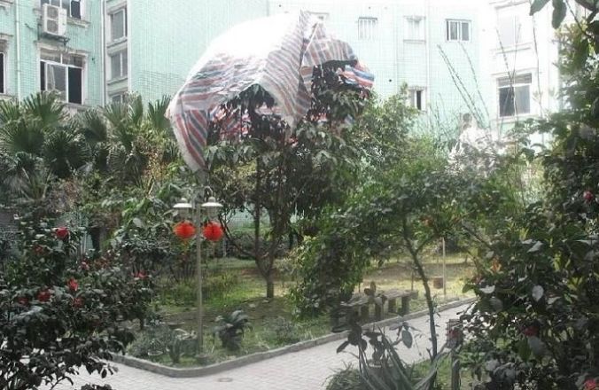 富豪家苑实景图