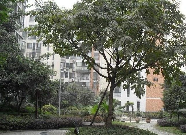 小区相关图