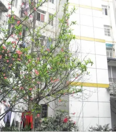 双华精装年实景图