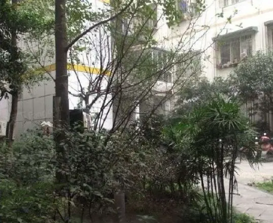 双华精装年实景图