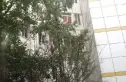 双华精装年实景图