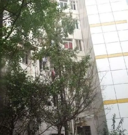 双华精装年实景图