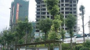恒大名都2室2厅东