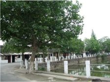 电梯房 户型好 采光好 房东诚心卖