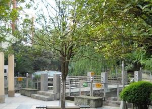 观澜半岛3室2厅南