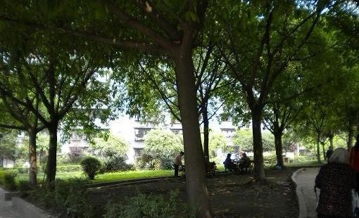 小区相关图