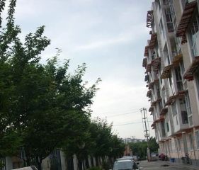 四季花乡 2室1厅 东南