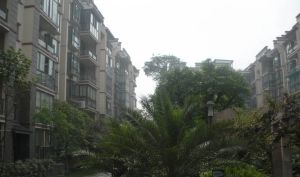 胜地金芙蓉 3室2厅 东南