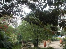 胜地金芙蓉3室2厅南北