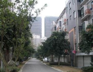 大华水映岛 3室1厅 南 南