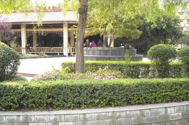 小区相关图