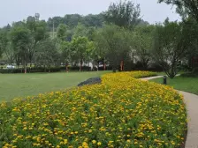 源著带20平露台洋房,采光好,业主诚心出售