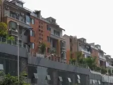 枫林秀水中叠2楼 通透户型 正朝南诚心卖