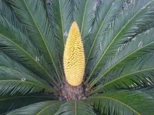 上游福地小区 4室2厅 南 西南