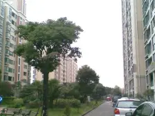 南北通透 户型南北间距大 采光好 带车位