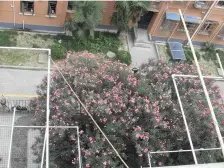 双南双院子,采光效果好(无遮挡)位置安静,诚意出售