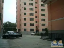 东南朝向两室一厅,中间楼层 户型正规