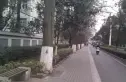 御道街小区实景图